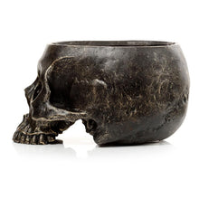 Laden Sie das Bild in den Galerie-Viewer, Gothic Skull Garden Planter Resin Plant Pot Dark Fantasy Lawn Patio Decor 19.5cm
