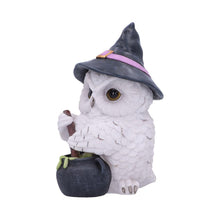 Load image into Gallery viewer, Owl Potion Figurine Witchcraft Halloween Gothic Fantasy Ornament Home Decor