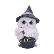 Load image into Gallery viewer, Owl Potion Figurine Witchcraft Halloween Gothic Fantasy Ornament Home Decor