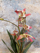 Laden Sie das Bild in den Galerie-Viewer, Elegant Artificial Orchids Display in 20 cm Tall Plant Pot - Lifelike Home Decor-OsirisTradingUK