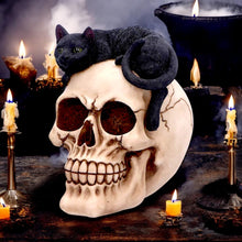 Laden Sie das Bild in den Galerie-Viewer, Forever Friend Black Cat and Skull Figurine – 14.5cm Gothic Decorative Ornament