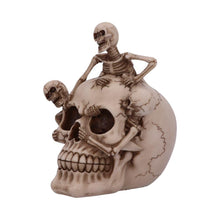 Load image into Gallery viewer, Skeleton Emerging from Skull Ornament Gothic Horror Home Décor Halloween Statue