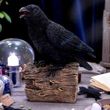 Load image into Gallery viewer, Ravens Cry Motion Activated Gothic Figurine Sound Sensor Bird Statue Crow Decor