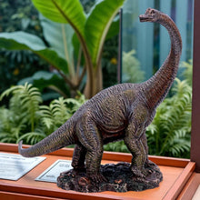 Load image into Gallery viewer, Realistic Brachiosaurus Figurine Dinosaur Fossil Themed Shelf Display Ornament