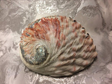 Load image into Gallery viewer, Abalone Shell