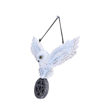 Laden Sie das Bild in den Galerie-Viewer, Mystical Snowy Owl Hanging Pagan Pentacle Talisman Wiccan Witchcraft Wall Art
