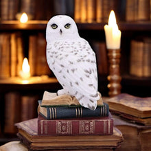 Load image into Gallery viewer, Snow Owl Statue on Stacked Books – Wizardry Gothic Decor Nemesis Now 17cm