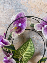 Laden Sie das Bild in den Galerie-Viewer, Elegant Illuminated Artificial Orchids - 33 cm Tall LED Orchid Display Home Decoration Exquisite Gift-OsirisTradingUK