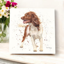 Load image into Gallery viewer, STORM SPRINGER SPANIEL Ceramic Art Tile by Bree Merryn - 20x20 cm Wall Décor - Ready to Hang