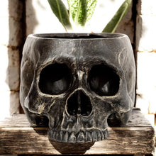 Laden Sie das Bild in den Galerie-Viewer, Gothic Skull Garden Planter Resin Plant Pot Dark Fantasy Lawn Patio Decor 19.5cm