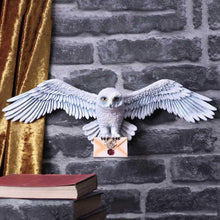 Load image into Gallery viewer, Harry Potter Hedwig Wall Plaque 45cm - Officially Licensed Wizarding World Collectible