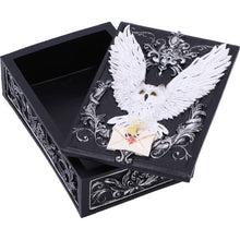 Load image into Gallery viewer, Gothic Owl Messenger Box Wiccan Witchcraft Storage Keepsake Fantasy Ornament