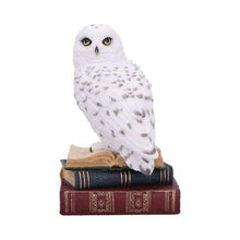 Load image into Gallery viewer, Snow Owl Statue on Stacked Books – Wizardry Gothic Decor Nemesis Now 17cm
