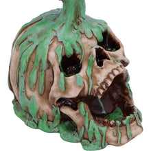 Load image into Gallery viewer, Toxic Waist Gothic Skull Figurine Fantasy Horror Statue Home Decor Ornament