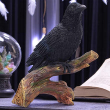 Load image into Gallery viewer, Raven Perched Gothic Figurine Witchy Wildlife Decor Mythical Bird Wiccan Statue