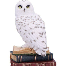 Load image into Gallery viewer, Snow Owl Statue on Stacked Books – Wizardry Gothic Decor Nemesis Now 17cm