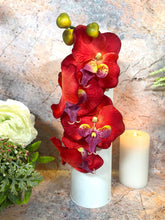 Laden Sie das Bild in den Galerie-Viewer, Artificial Orchids | Life-Like Floral Decor | Faux Flowers White Metal Display | Wall Mounted & Freestanding | Elegant Home Accent-OsirisTradingUK