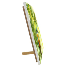 Load image into Gallery viewer, Stunning Kingfisher Perched Ceramic Wall Art Tile by P. Stone - Nature Decor - Ready to Hang, 20x20cm, Home Decor Gift