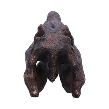 Laden Sie das Bild in den Galerie-Viewer, Realistic Spinosaurus Dinosaur Skull Model Replica Skeleton Sculpture Home Gift