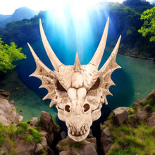 Laden Sie das Bild in den Galerie-Viewer, Large Dragon Skull Sculpture - Gothic Mythical Decor Resin Figurine