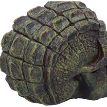 Laden Sie das Bild in den Galerie-Viewer, Reptilian Skull Ornament Gothic Decor Fantasy Art