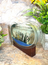 Load image into Gallery viewer, Sea Themed Starfish Gel Glass Candle on Wooden Stand - 23 cm x 16.5 cm - Nautical Home Decor, Coastal Ambiance-OsirisTradingUK