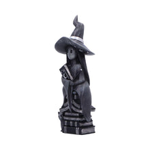 Laden Sie das Bild in den Galerie-Viewer, Little Souls Shine Figurine Mystical Witch & Spell book Gothic Wiccan Altar Decor
