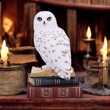Load image into Gallery viewer, Snow Owl Statue on Stacked Books – Wizardry Gothic Decor Nemesis Now 17cm