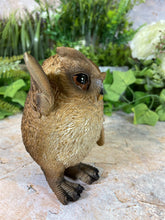 Load image into Gallery viewer, Hilarious Owl Resin Garden Ornament Home Decoration Lawn Decor-OsirisTradingUK