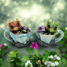 Load image into Gallery viewer, Pair of Dragon Hatchlings 11.2cm - Cute Resin Baby Dragons in Teacup Fantasy Ornaments