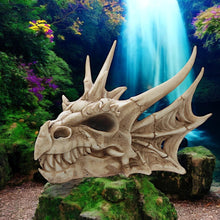 Laden Sie das Bild in den Galerie-Viewer, Collectable Dragon Skull Figurine – Gothic Fantasy Resin Sculpture Mystical Statue 22.5cm