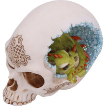 Laden Sie das Bild in den Galerie-Viewer, Dragon Resting in Skull Figurine 15cm - Crystal Cave Mother & Baby Dragon Ornament - Gothic Fantasy Decor