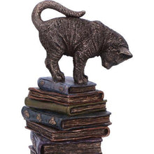 Load image into Gallery viewer, Feline Scholars Alchemy Bronze Figurine – Gothic Cats and Books Home Display
