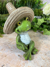 Laden Sie das Bild in den Galerie-Viewer, Hilarious Fiesta Frog Garden Ornament Handmade Resin Lawn Decoration-OsirisTradingUK