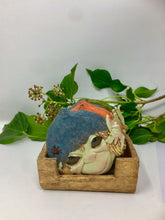 Load image into Gallery viewer, Set of 6 Pixie Face Coasters Decoration Ornament Elf Goblin Pixies Decor-OsirisTradingUK