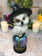 Laden Sie das Bild in den Galerie-Viewer, Comical Mystical Owl Sculpture Figurine Home Decoration Statue Owls Collectables-OsirisTradingUK