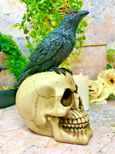 Load image into Gallery viewer, Raven on Skull Sculpture Figurine Gothic Horror Ornament Figure Decoration Gift-OsirisTradingUK