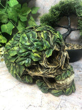 Laden Sie das Bild in den Galerie-Viewer, Green Man Skull Ornament Figure Skulls Collection Sculpture Gothic Decor-OsirisTradingUK