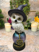 Charger l'image dans la galerie, Comical Mystical Owl Sculpture Figurine Home Decoration Statue Owls Collectables-OsirisTradingUK
