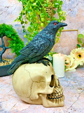 Load image into Gallery viewer, Raven on Skull Sculpture Figurine Gothic Horror Ornament Figure Decoration Gift-OsirisTradingUK