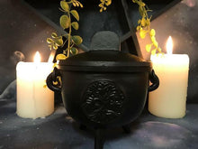 Laden Sie das Bild in den Galerie-Viewer, Cast Iron Cauldron Tree of Life Wicca Pagan Altar Decoration-OsirisTradingUK