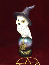 Charger l'image dans la galerie, Comical Mystical Owl Sculpture Figurine Home Decoration Statue Owls Collectables-OsirisTradingUK