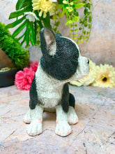 Laden Sie das Bild in den Galerie-Viewer, French Bulldog Sculpture Garden Ornament Dog Statue Figure Lawn Decoration-OsirisTradingUK