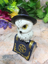 Load image into Gallery viewer, Comical Owl Resting on Pentagram Spell Book Figurine Statue Owls Collectables-OsirisTradingUK