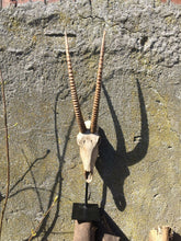 Load image into Gallery viewer, Large Antelope Skull Horns Animal Skulls Range Garden Ornament with Metal Base-OsirisTradingUK