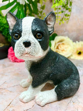 Laden Sie das Bild in den Galerie-Viewer, French Bulldog Sculpture Garden Ornament Dog Statue Figure Lawn Decoration-OsirisTradingUK