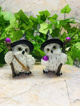 Load image into Gallery viewer, Pair of Comical Owls Witches Figurines Wicca Pagan Decor Owl Collection-OsirisTradingUK