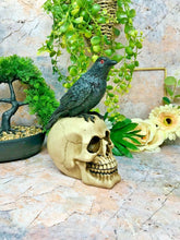 Load image into Gallery viewer, Raven on Skull Sculpture Figurine Gothic Horror Ornament Figure Decoration Gift-OsirisTradingUK