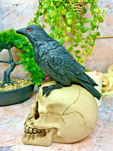 Load image into Gallery viewer, Raven on Skull Sculpture Figurine Gothic Horror Ornament Figure Decoration Gift-OsirisTradingUK