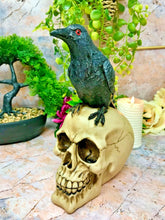 Load image into Gallery viewer, Raven on Skull Sculpture Figurine Gothic Horror Ornament Figure Decoration Gift-OsirisTradingUK